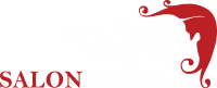 Salon Place Logo
